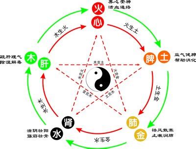 羽的五行|羽字的五行属性